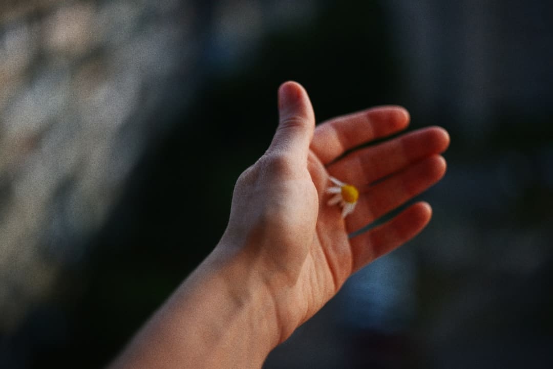 《寻觅1999的月老》发布终极预告 七夕仅有“爱情神话